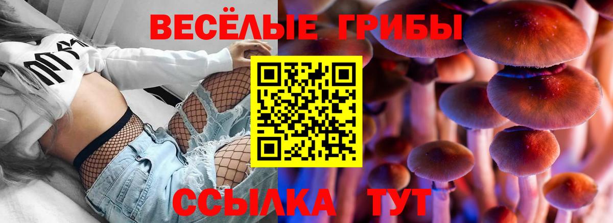 Псилоцибиновые грибы GOLDEN TEACHER  Вход с VPN  Луховицы  Галлюциногенные грибы мицелий 